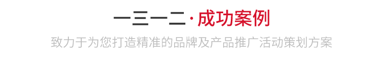 成功案例